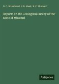 Reports on the Geological Survey of the State of Missouri