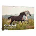 Pferde Kalender 2026 Pferdeglück! Die schönsten Pferdemotive und Aufnahmen 2026 Pferde Kalender 2026 Pferdeglück! Die schönsten Pferdemotive und Aufnahmen 2026