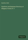 Gazetteer and Business Directory of Allegany County N. Y.