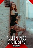 Alleen in de grote stad (eBook, ePUB) Alleen in de grote stad (eBook, ePUB)