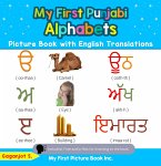 My First Punjabi Alphabets Picture Book with English Translations (eBook, ePUB)