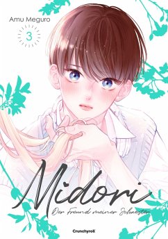 Cover Midori - Der Freund meiner Schwester - Band 3 (eBook, ePUB)