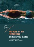 Tenera è la notte (eBook, ePUB)
