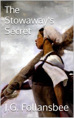 Cover The Stowaway's Secret (eBook, ePUB)