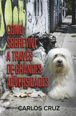Cómo sobreviví a través de grandes adversidades (eBook, ePUB)