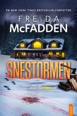 Snestormen (eBook, ePUB)