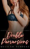 Double Perversions - Sensual Risque Taboo Short Stories (eBook, ePUB)