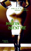 A Modern Indenture (eBook, ePUB) A Modern Indenture (eBook, ePUB)