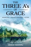 The Three A's of Grace: Awareness, Acknowledgement, Action (eBook, ePUB)