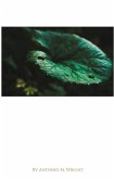 Self Confidence (eBook, ePUB) Self Confidence (eBook, ePUB)