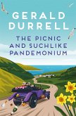 The Picnic and Suchlike Pandemonium (eBook, ePUB)