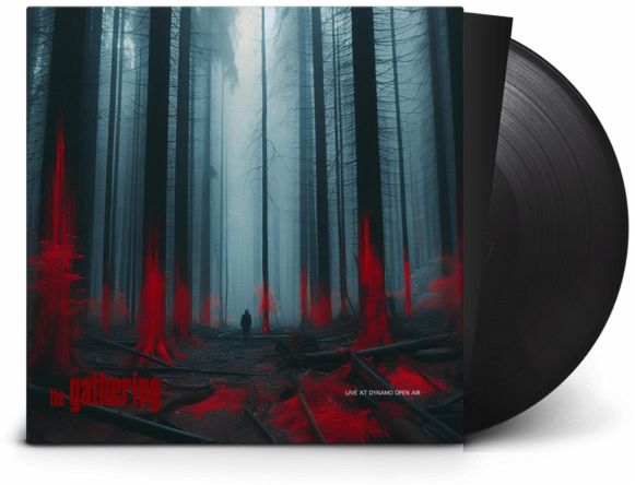 Live At Dynamo Open Air