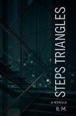 Steps & Triangles (eBook, ePUB)