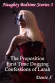 Naughty Bedtime Stories 3 (eBook, ePUB)