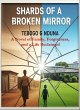 Shards Of A Broken Mirrors (eBook, ePUB) - Bild 1