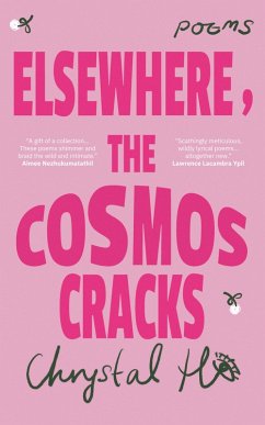 Cover Elsewhere, the Cosmos Cracks (eBook, ePUB)