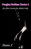 Naughty Bedtime Stories 2