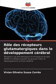 Rôle des récepteurs glutamatergiques dans le développement cérébral