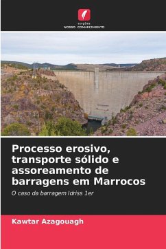 Cover Processo erosivo, transporte sólido e assoreamento de barragens em Marrocos