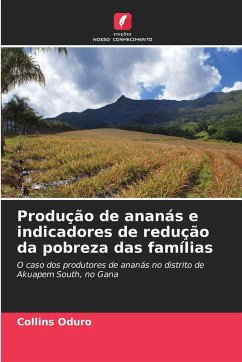 Cover Produção de ananás e indicadores de redução da pobreza das famílias