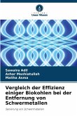 Vergleich der Effizienz einiger Biokohlen bei der Entfernung von Schwermetallen Vergleich der Effizienz einiger Biokohlen bei der Entfernung von Schwermetallen