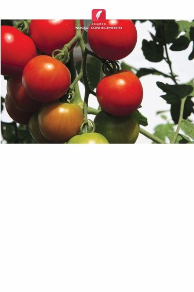 Enxertia de tomate para melhorar o rendimento e a qualidade na Tanzânia Enxertia de tomate para melhorar o rendimento e a qualidade na Tanzânia