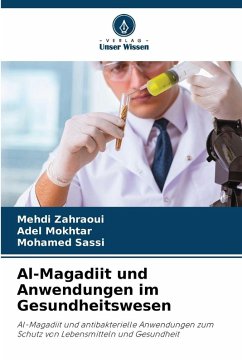Cover Al-Magadiit und Anwendungen im Gesundheitswesen