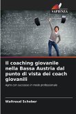 Il coaching giovanile nella Bassa Austria dal punto di vista dei coach giovanili Il coaching giovanile nella Bassa Austria dal punto di vista dei coach giovanili