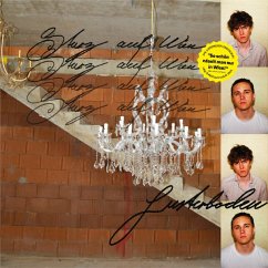 Cover Sturz Auf Wien (Clear Vinyl)