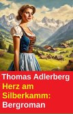 Herz am Silberkamm: Bergroman (eBook, ePUB)