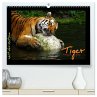Welt der Katzen - Tiger (hochwertiger... - Bild 1