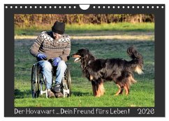 Der Hovawart... Dein Freund fürs Leben ! (Wandkalender 2026 DIN A4 quer), CALVENDO Monatskalender