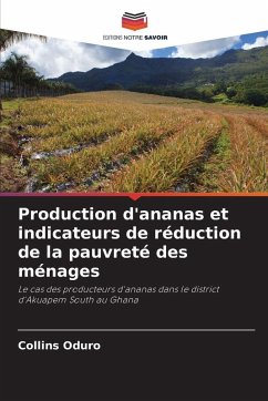 Cover Production d'ananas et indicateurs de réduction de la pauvreté des ménages