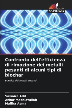 Cover Confronto dell'efficienza di rimozione dei metalli pesanti di alcuni tipi di biochar