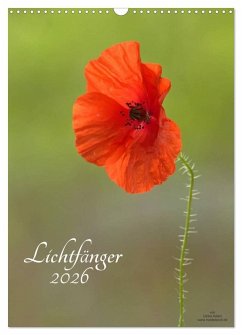 Lichtfänger (Wandkalender 2026 DIN A3 hoch), CALVENDO Monatskalender