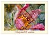 Fotografie trifft Malerei (Wandkalender... - Bild 1