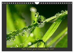 Meine kleine grüne Wassertropfen Welt (Wandkalender 2026 DIN A4 quer), CALVENDO Monatskalender