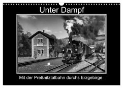 Unter Dampf - Mit der Preßnitztalbahn durchs Erzgebirge (Wandkalender 2026 DIN A3 quer), CALVENDO Monatskalender