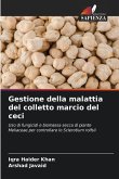Gestione della malattia del colletto marcio del ceci Gestione della malattia del colletto marcio del ceci