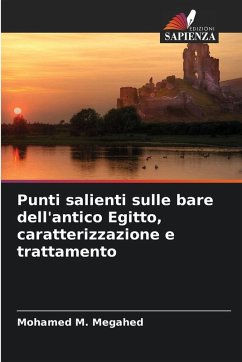 Cover Punti salienti sulle bare dell'antico Egitto, caratterizzazione e trattamento