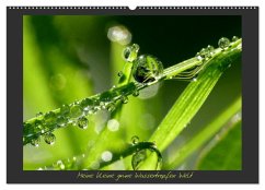 Meine kleine grüne Wassertropfen Welt (Wandkalender 2026 DIN A2 quer), CALVENDO Monatskalender