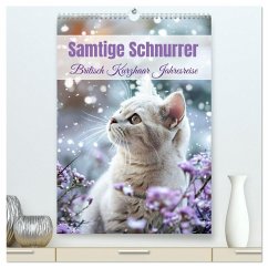 Cover Samtige Schnurrer (hochwertiger Premium Wandkalender 2026 DIN A2 hoch), Kunstdruck in Hochglanz