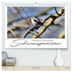 Gefiederte Gartengäste, Schwanzmeisen (hochwertiger Premium Wandkalender 2026 DIN A2 quer), Kunstdruck in Hochglanz Gefiederte Gartengäste, Schwanzmeisen (hochwertiger Premium Wandkalender 2026 DIN A2 quer), Kunstdruck in Hochglanz