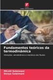 Fundamentos teóricos da termodinâmica
