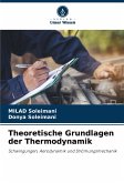 Theoretische Grundlagen der Thermodynamik
