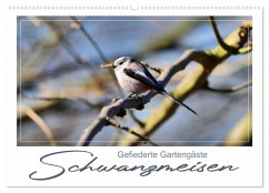 Gefiederte Gartengäste, Schwanzmeisen (Wandkalender 2026 DIN A2 quer), CALVENDO Monatskalender Gefiederte Gartengäste, Schwanzmeisen (Wandkalender 2026 DIN A2 quer), CALVENDO Monatskalender