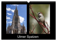 Ulmer Spatzen (Wandkalender 2026 DIN A3 quer), CALVENDO Monatskalender Ulmer Spatzen (Wandkalender 2026 DIN A3 quer), CALVENDO Monatskalender