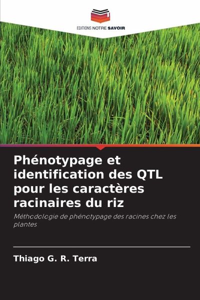 Phénotypage et identification des QTL pour les caractères racinaires du riz Phénotypage et identification des QTL pour les caractères racinaires du riz