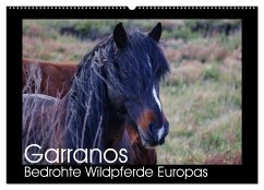 Garranos - Bedrohte Wildpferde Europas (Wandkalender 2026 DIN A2 quer), CALVENDO Monatskalender