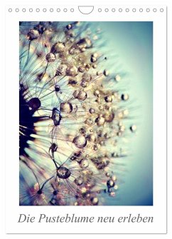 Die Pusteblume neu erleben (Wandkalender 2026 DIN A4 hoch), CALVENDO Monatskalender Die Pusteblume neu erleben (Wandkalender 2026 DIN A4 hoch), CALVENDO Monatskalender